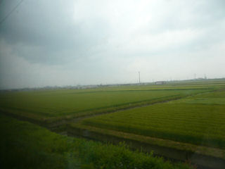 九州の畑が広がります。(JPG-32k)