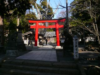 白浜神社(JPG-36k)