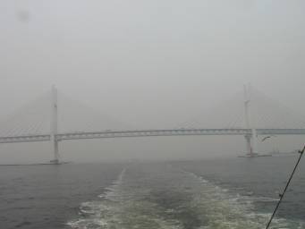 Hokohama Bay bridge(JPG-6k)