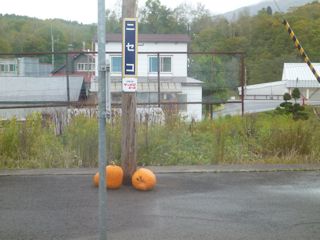 かぼちゃが置かれたニセコ駅(JPG-28k)