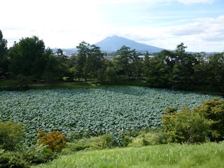 岩木山(JPG-34k)