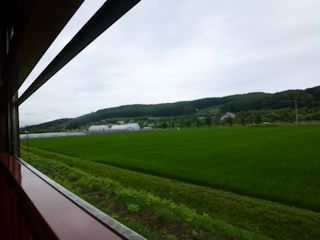 緑に囲まれた中を列車は走る(JPG-23k)