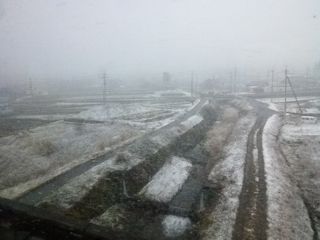 雪(JPG-22k)