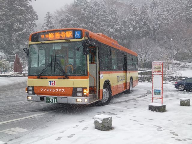 昭和の森会館バス停(JPG-77k)