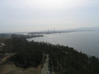 東尋坊タワーからの眺め(JPG-18k)