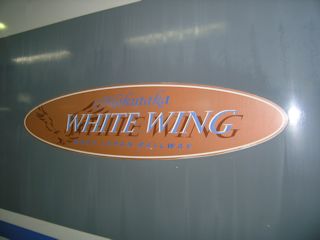 WHITE WING(JPG-20k)